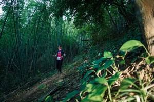 BIB: 
                            <button type="button" onclick="openModal(28124730)" class="btn btn-primary btn-sm float-right btn-popup" data-toggle="modal" data-target=".modal-high-quality">
                        <i class="fas fa-shopping-cart"></i> Add to Cart
                    </button>
                                            <button type="button" onclick="isThisMe(28124730, true)" class="btn btn-success btn-sm float-right btn-popup btn-isme hidden" data-toggle="tooltip" data-placement="bottom" title="นี่คือรูปของคุณใช่ไหม คลิกที่นี่เพื่อเอาเข้าอัลบั้ม">
                        <i class="fas fa-plus"></i> Add to album
                    </button>
                    <button type="button" onclick="isThisMe(28124730, false)" class="btn btn-warning btn-sm float-right btn-popup btn-isnotme hidden">
                        <i class="fas fa-ban"></i> Remove from album
                    </button>